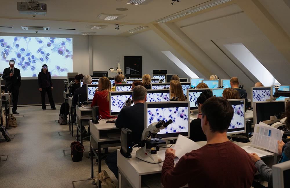 Urinzytologisches Seminar